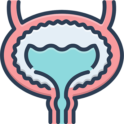 Overactive Bladder