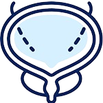 Overactive Bladder