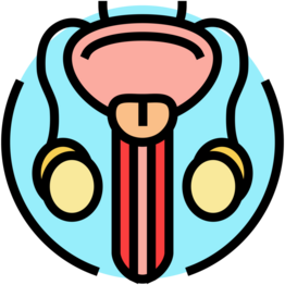 Overactive Bladder
